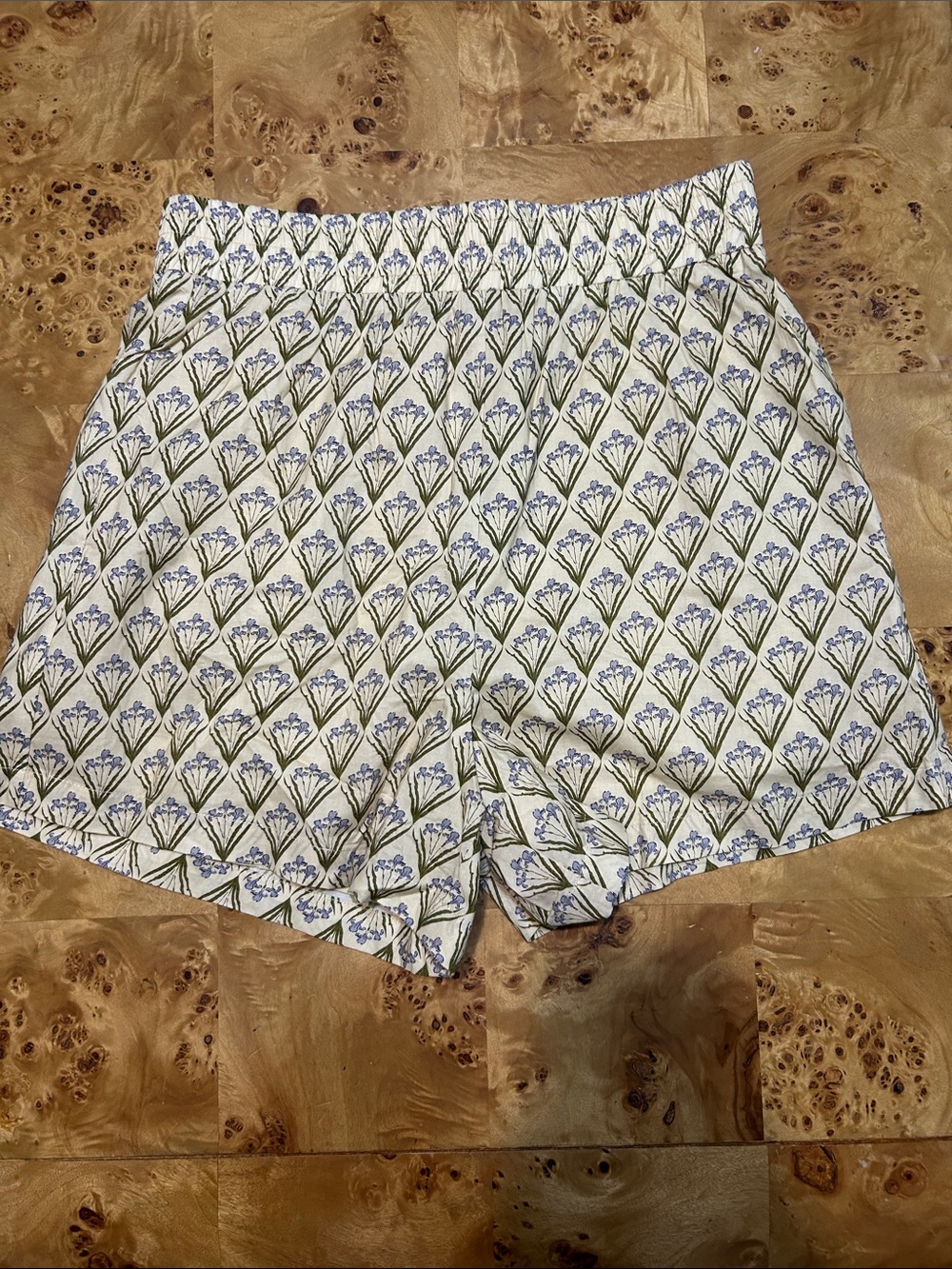 Tuckernuck shorts NWOT